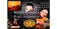 Banner-FB-noche-flamenca